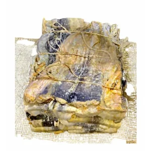 CORRIENTE  SIN BAGRE